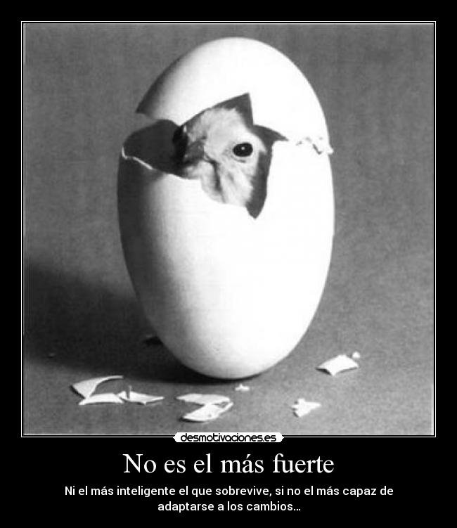 No es el más fuerte - Ni el más inteligente el que sobrevive, si no el más capaz de adaptarse a los cambios…