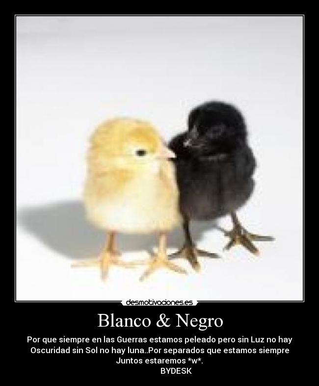 Blanco & Negro - Por que siempre en las Guerras estamos peleado pero sin Luz no hay
Oscuridad sin Sol no hay luna..Por separados que estamos siempre
Juntos estaremos *w*.
                 BYDESK