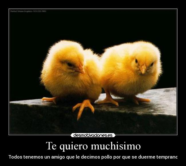 Te quiero muchisimo - Todos tenemos un amigo que le decimos pollo por que se duerme temprano