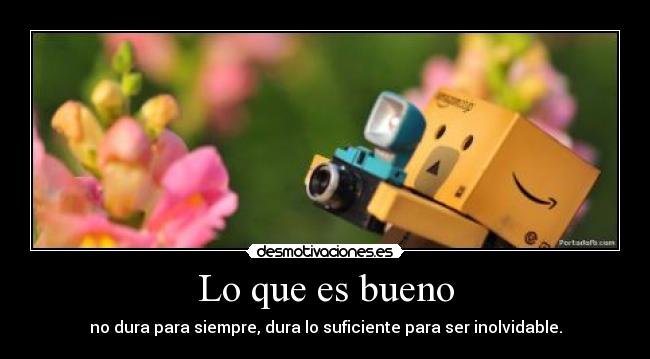 Lo que es bueno - no dura para siempre, dura lo suficiente para ser inolvidable.