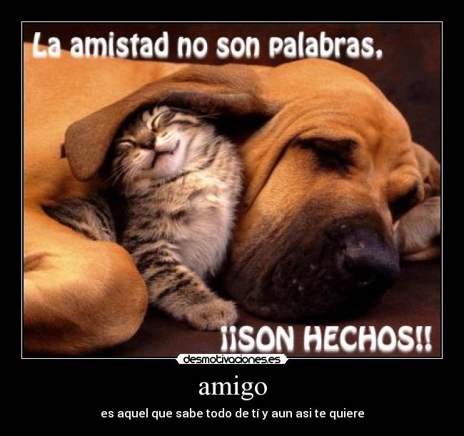 carteles amigo desmotivaciones