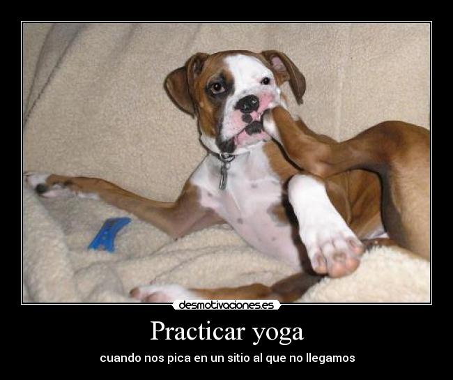 Practicar yoga - 