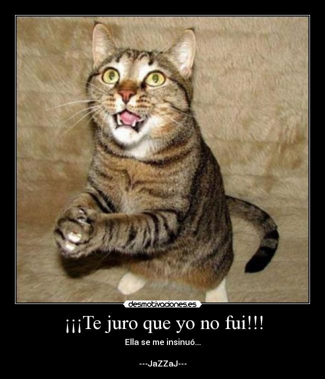 ¡¡¡Te juro que yo no fui!!! -