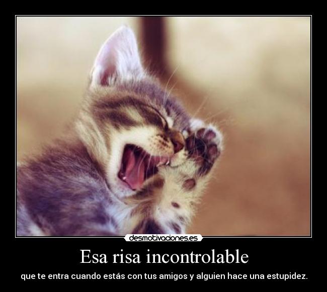 carteles risa gato desmotivaciones