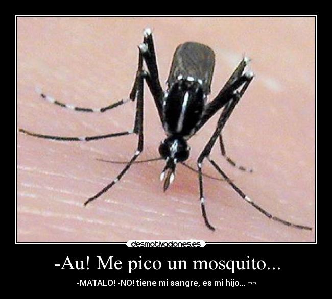 -Au! Me pico un mosquito... -