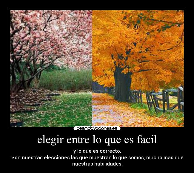 elegir entre lo que es facil - y lo que es correcto.
Son nuestras elecciones las que muestran lo que somos, mucho más que
nuestras habilidades.