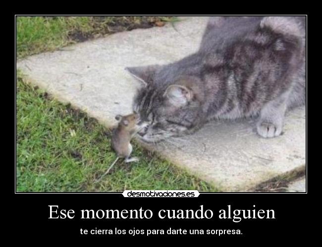 Ese momento cuando alguien - 