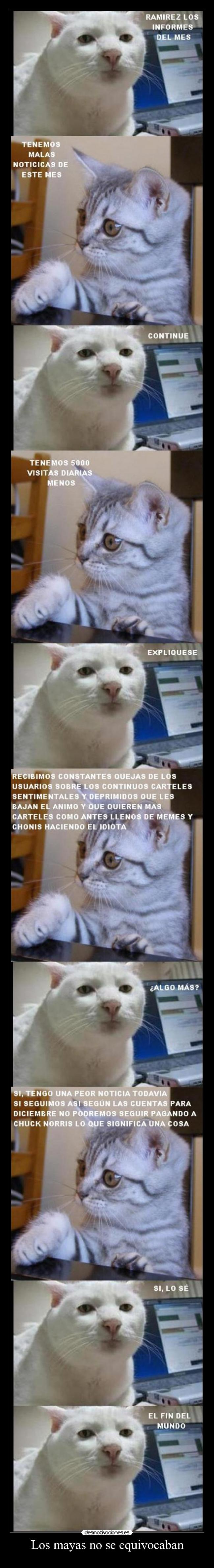 Los mayas no se equivocaban - 