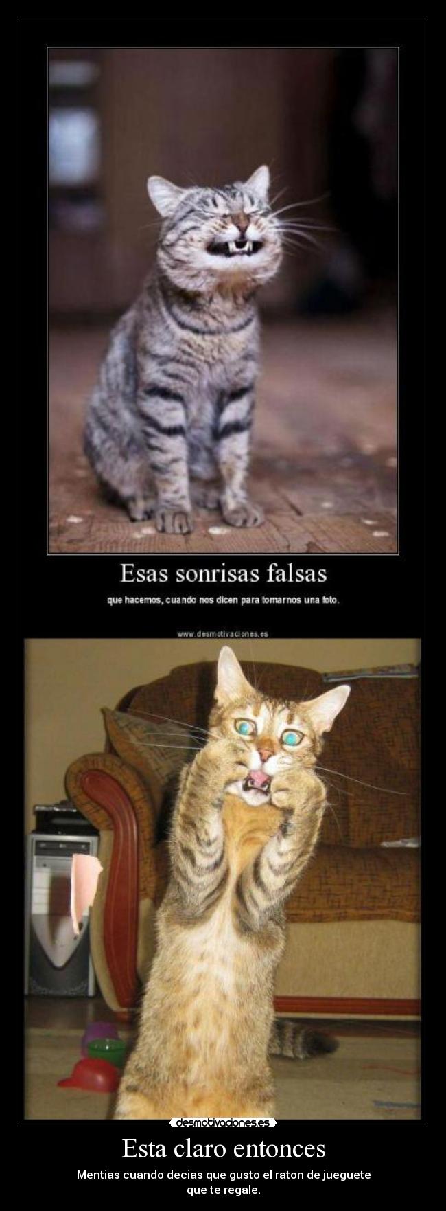 Esta claro entonces - Mentias cuando decias que gusto el raton de jueguete
que te regale.