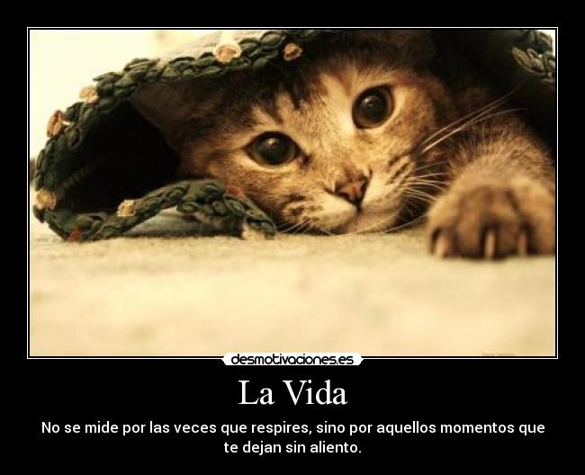 La Vida - No se mide por las veces que respires, sino por aquellos momentos que
te dejan sin aliento.