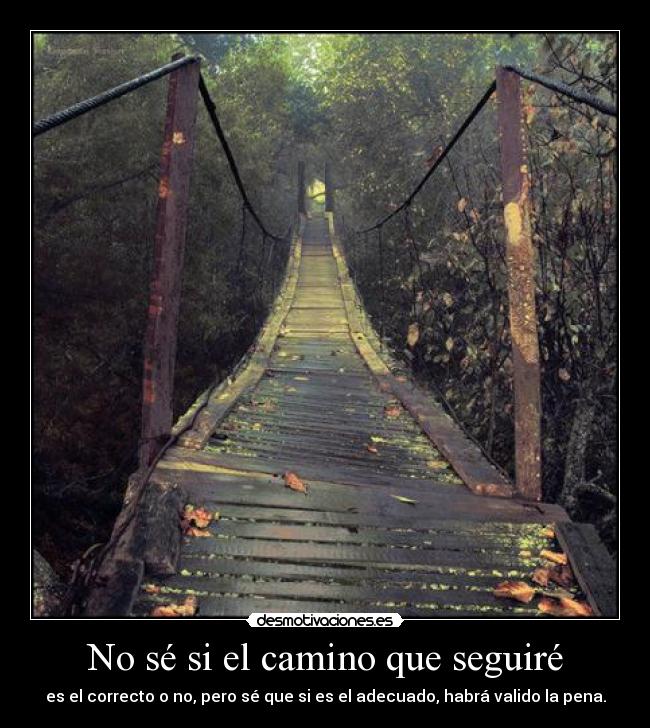 carteles soccergirl decisiones que sabes funcionaran pero como eres cabezota intentas desmotivaciones