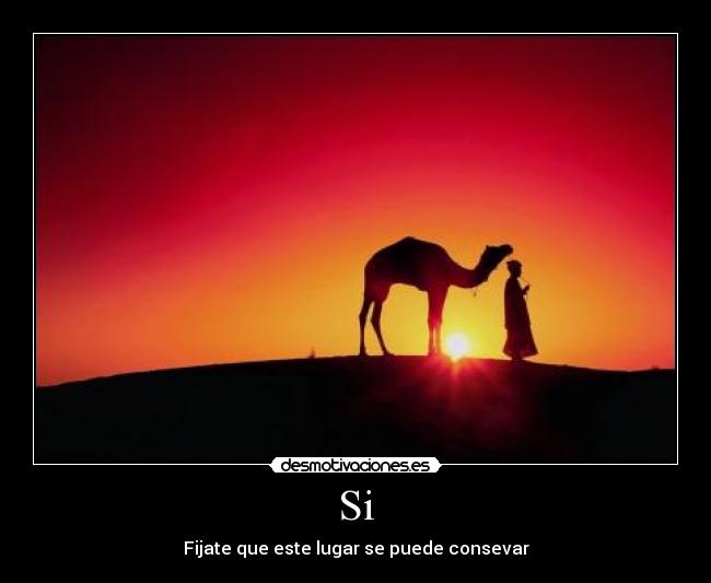 Si - Fijate que este lugar se puede consevar