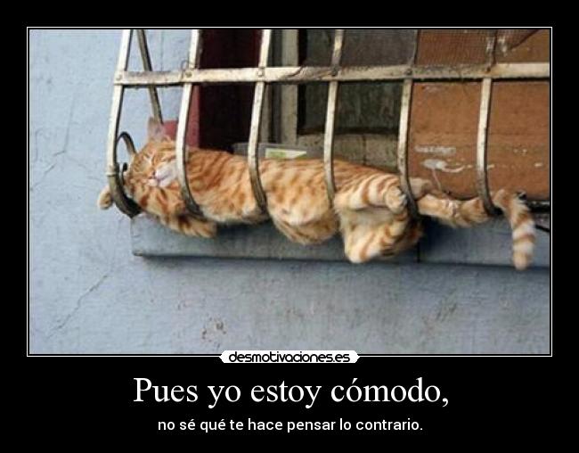 Pues yo estoy cómodo, -