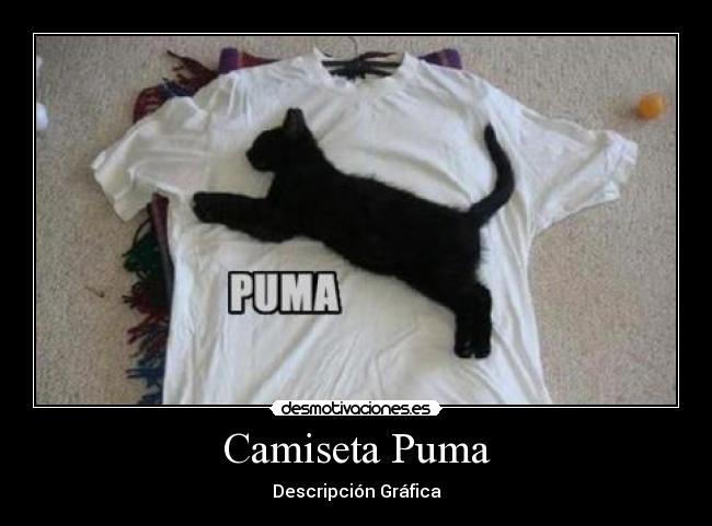 Camiseta Puma - Descripción Gráfica