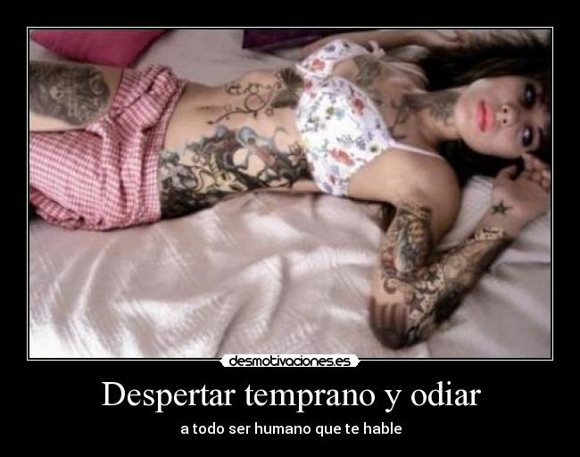 carteles dsjnjsf desmotivaciones