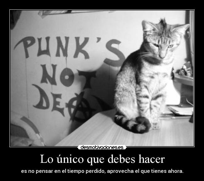 Lo único que debes hacer -