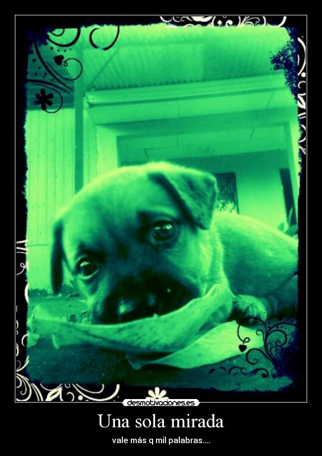 Una sola mirada - vale más q mil palabras....