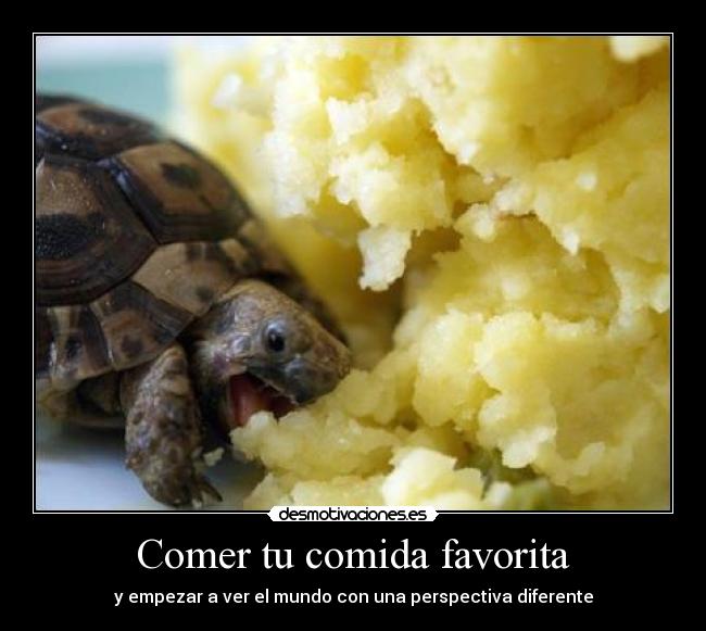 Comer tu comida favorita -