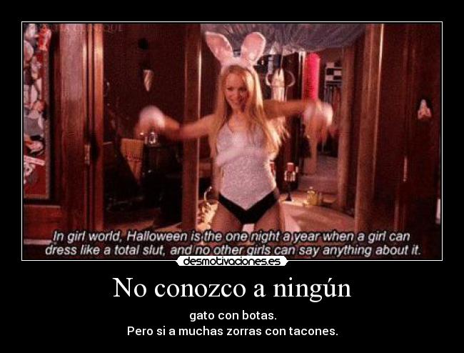 No conozco a ningún -