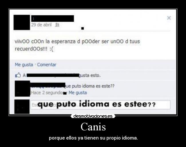 Canis - porque ellos ya tienen su propio idioma.