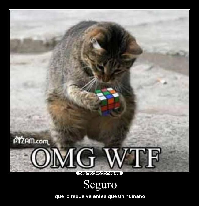 Seguro - que lo resuelve antes que un humano