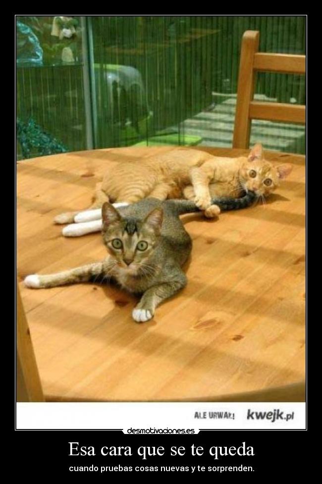 Esa cara que se te queda - cuando pruebas cosas nuevas y te sorprenden.