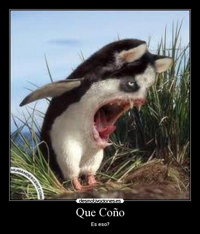 Que Coño - Es eso?