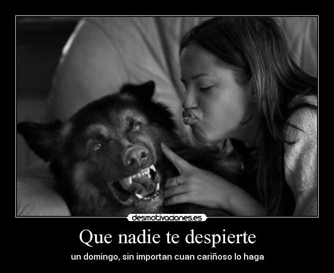 Que nadie te despierte - 