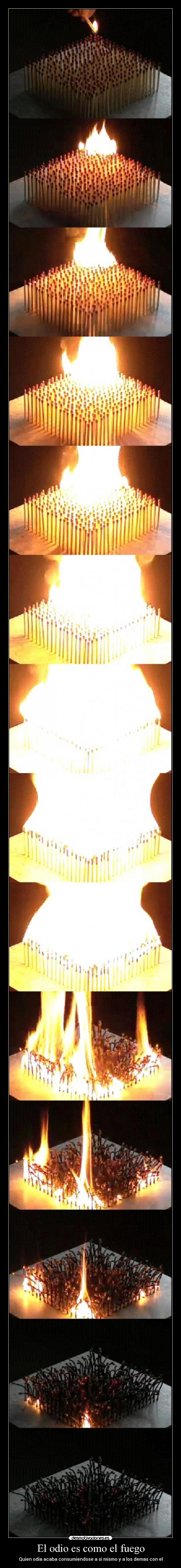 carteles odio odio desmotivaciones