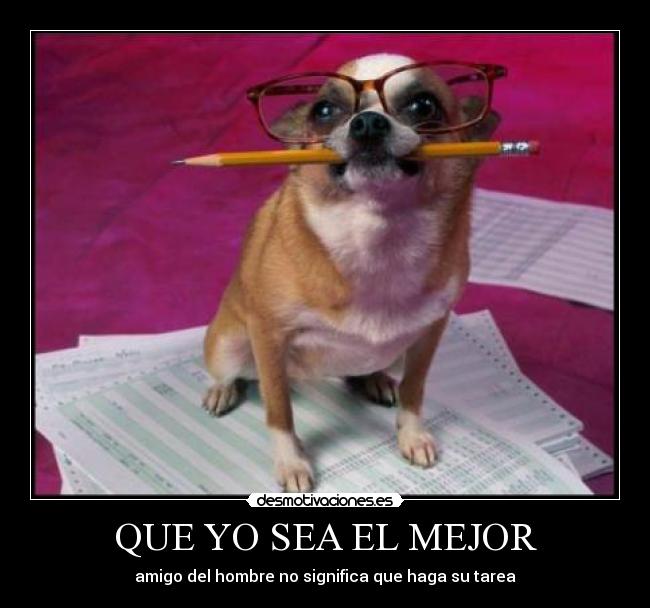 QUE YO SEA EL MEJOR - amigo del hombre no significa que haga su tarea
