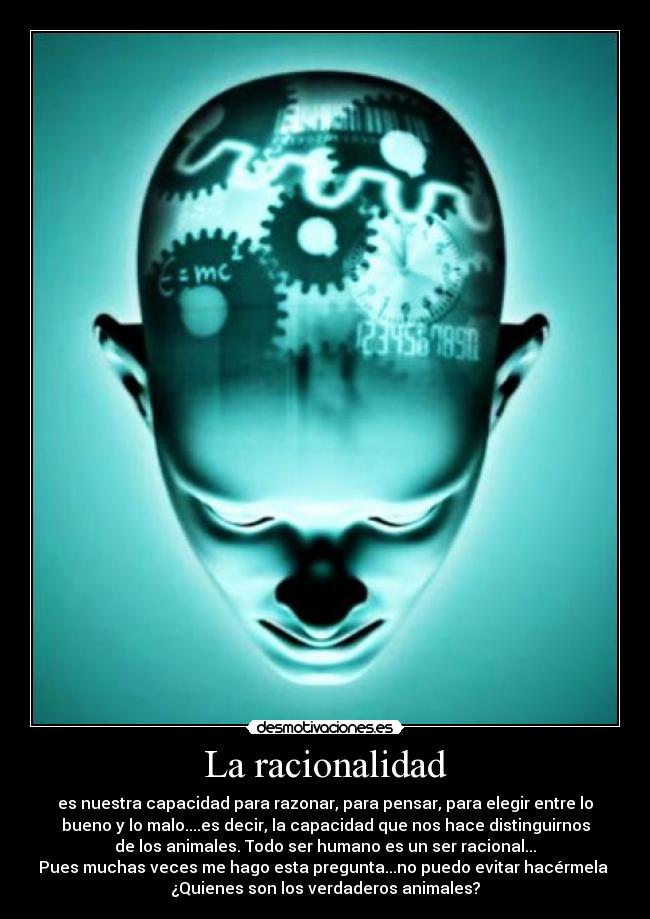 La racionalidad - es nuestra capacidad para razonar, para pensar, para elegir entre lo
bueno y lo malo....es decir, la capacidad que nos hace distinguirnos
de los animales. Todo ser humano es un ser racional...
Pues muchas veces me hago esta pregunta...no puedo evitar hacérmela
¿Quienes son los verdaderos animales?