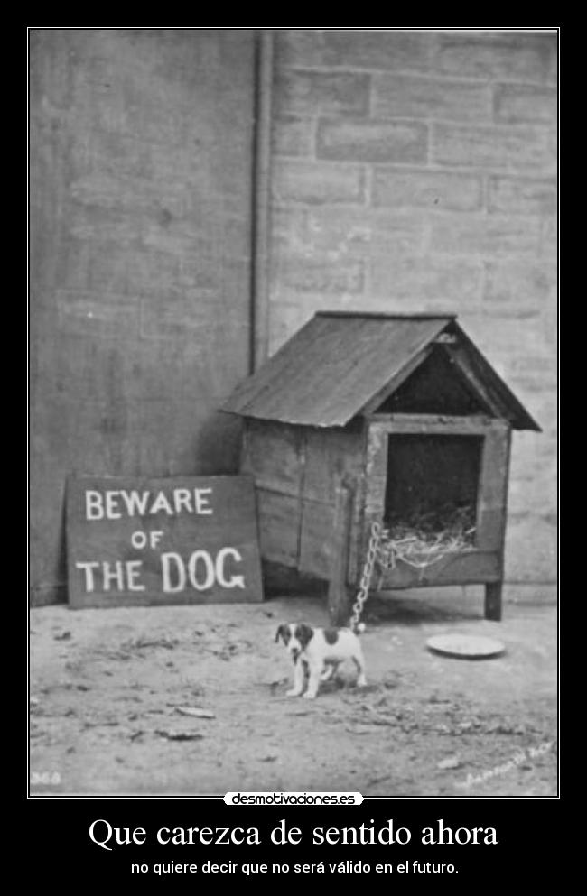 Que carezca de sentido ahora - 