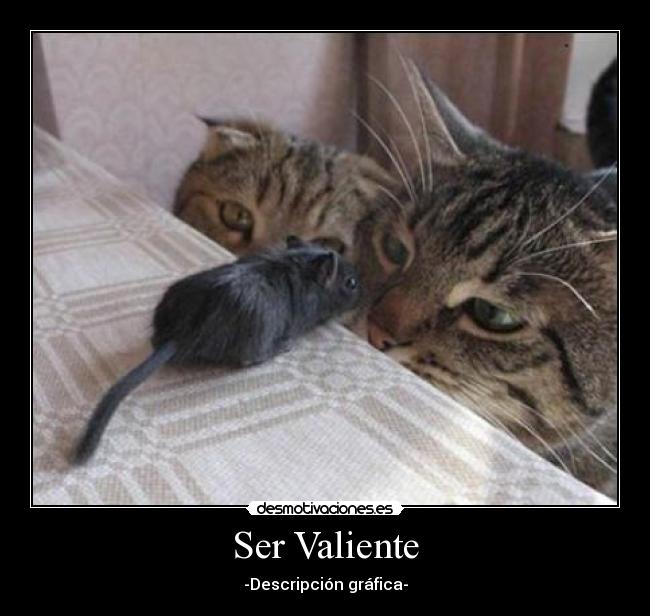 carteles stuart little conoce algun primo peluza genial nada que subir desmos bla bla bla brrr desmotivaciones