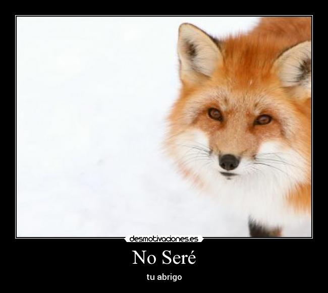 No Seré -