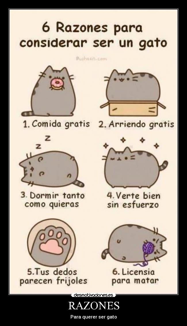 RAZONES - Para querer ser gato