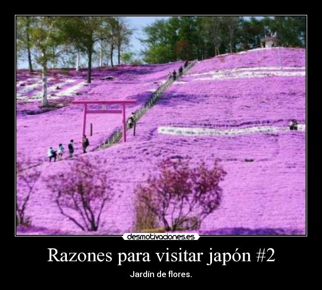 Razones para visitar japón #2 - 