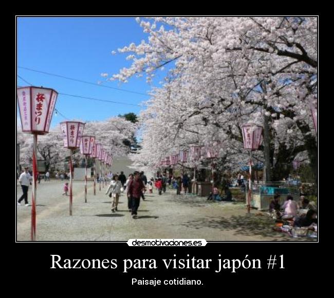 Razones para visitar japón #1 - 
