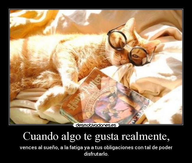 Cuando algo te gusta realmente, -