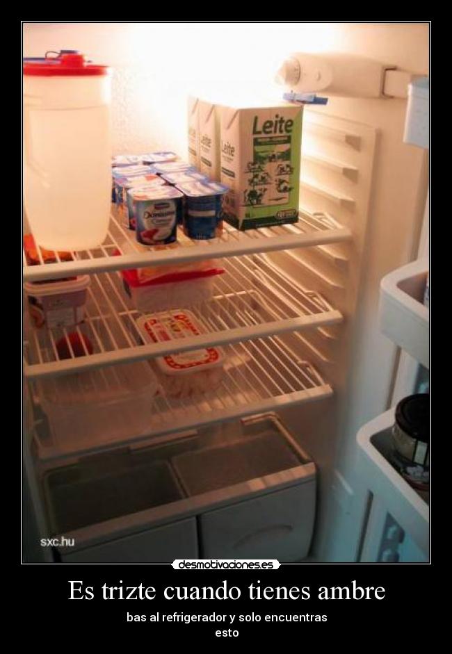 Es trizte cuando tienes ambre - bas al refrigerador y solo encuentras
esto