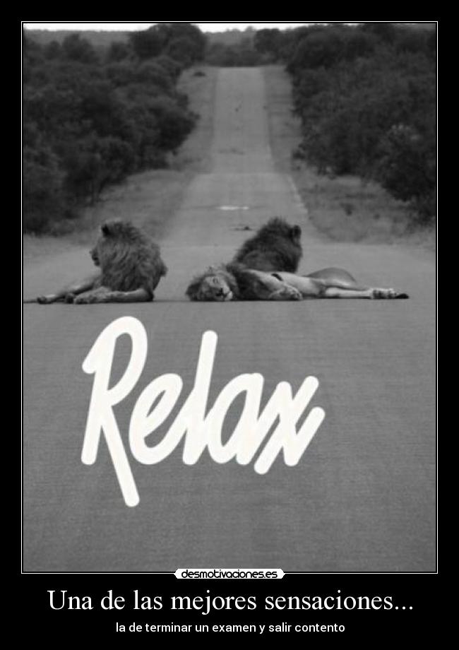 carteles hujiuytfrdcvbn desmotivaciones