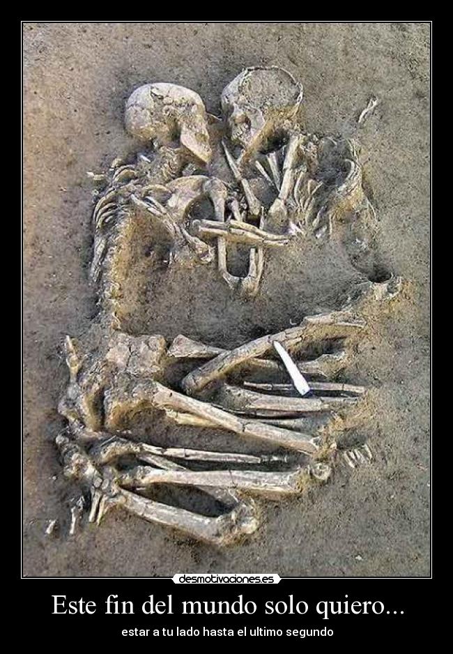 Este fin del mundo solo quiero... -