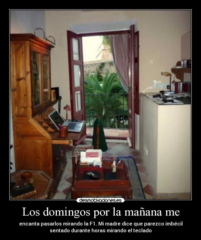 Los domingos por la mañana me - encanta pasarlos mirando la F1. Mi madre dice que parezco imbécil
sentado durante horas mirando el teclado