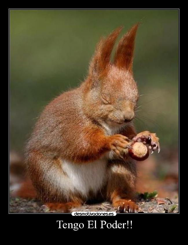 carteles desmotivaciones