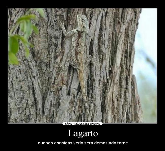 carteles alasdefuego23 desmotivaciones