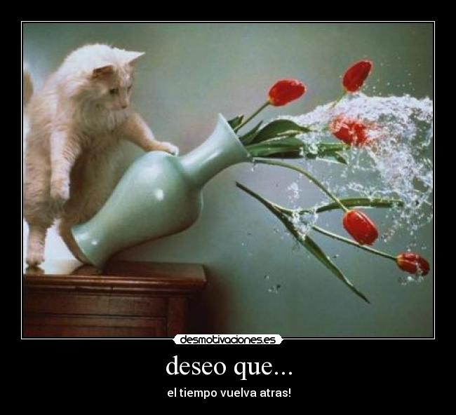 deseo que... - el tiempo vuelva atras!