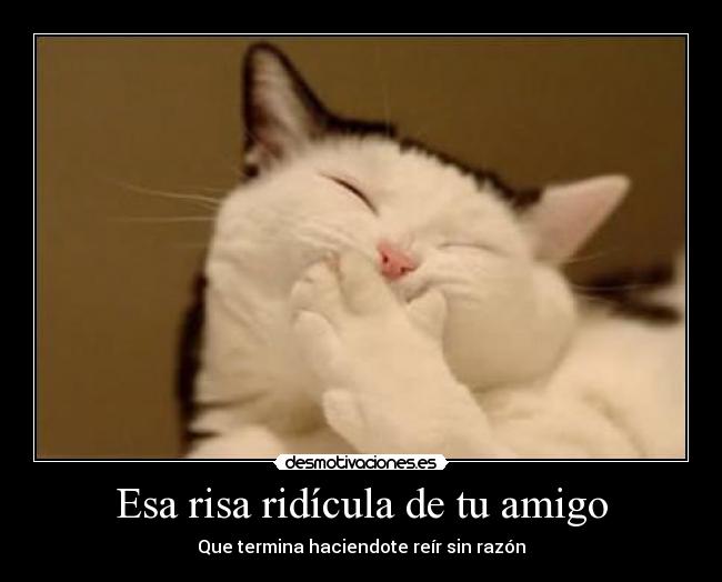 Esa risa ridícula de tu amigo - Que termina haciendote reír sin razón