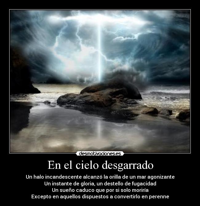 carteles hicieran concurso quien suda mas ganaria porque suda ganar desmotivaciones