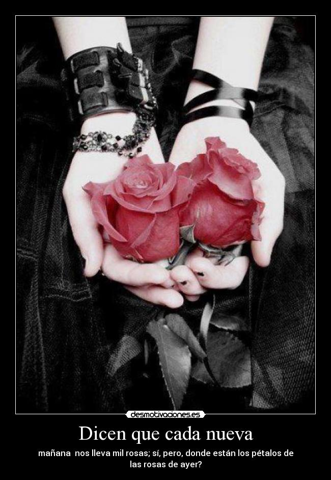 Dicen que cada nueva - mañana nos lleva mil rosas; sí, pero, donde están los pétalos de las rosas de ayer?