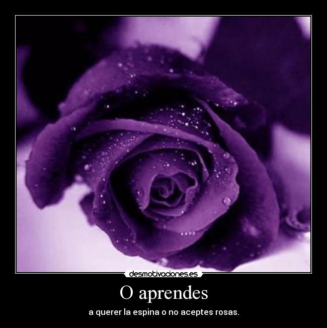 O aprendes - 