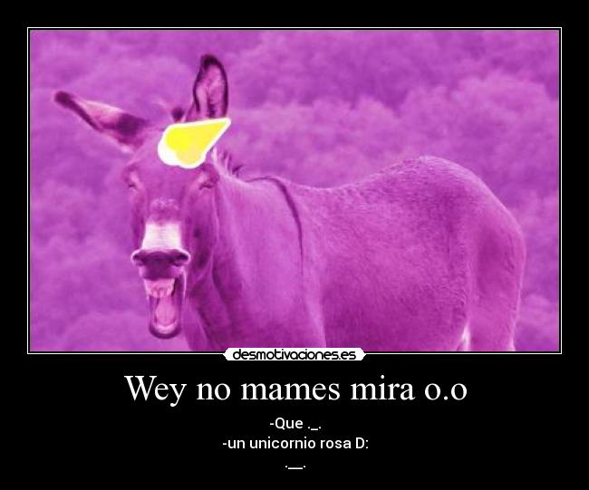 Wey no mames mira o.o -